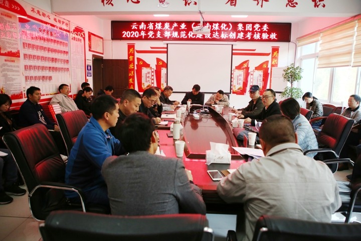 集团党委顺利实现2020年党支部规范化达标创建工作