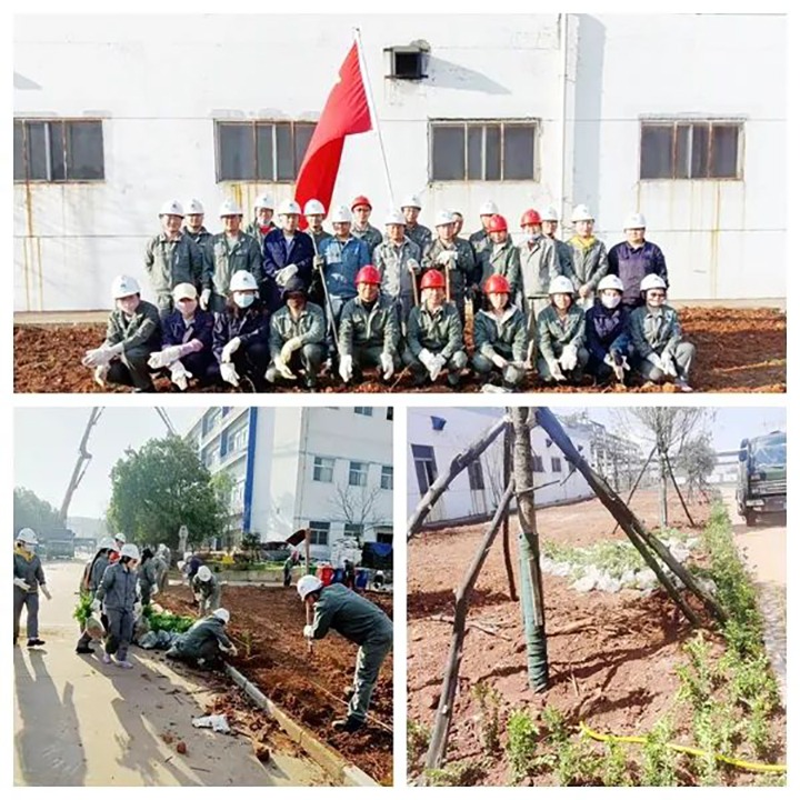党员带头做前锋　团员青年齐上阵　曲煤焦化公司组织发展“植树添绿”自愿活动