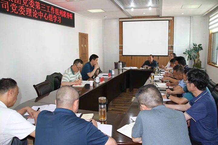 云煤（HB火博·(Home)）集团党委第三工作组列席旁听恒通公司党委理论中心组进建