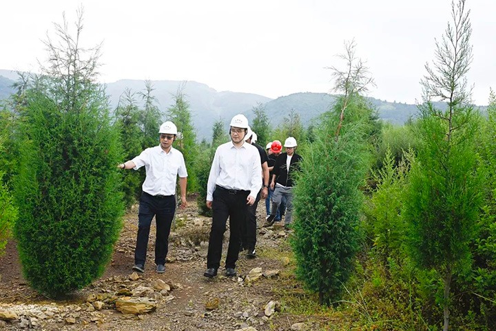 天然资源部矿产资源；ぜ喽剿纠眉喽酱Ω贝Τに镉莱恍械角胺婷阂档餮新躺笊酱唇üぷ