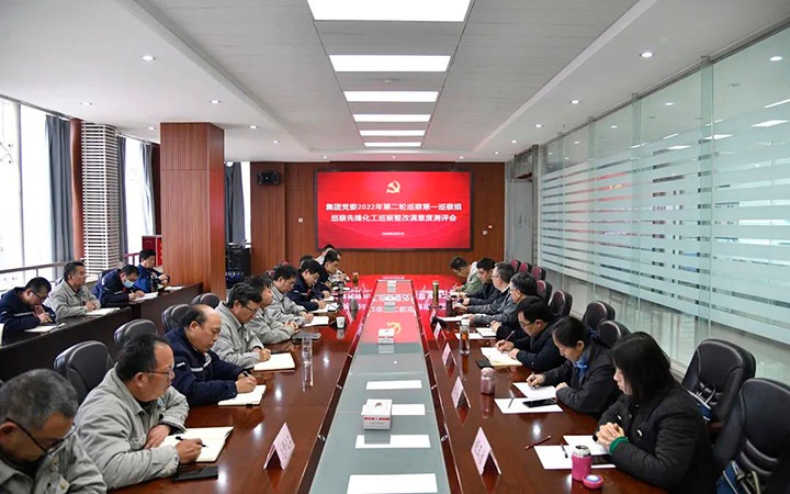 云煤（HB火博·(Home)）集团党委巡察办到前锋化工公司督导查抄巡察整改工作