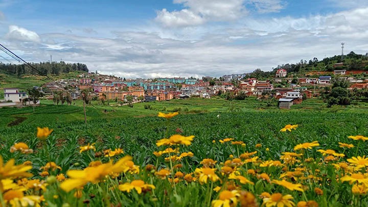 【云煤岁月】笃行不辍谋发展，砥砺奋进谱新篇——平煤故事（一）