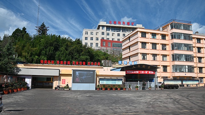 【基层党建幼隐语】强化党建引领，推动融合中心工作提质增效