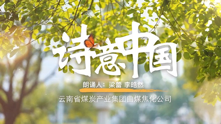 【聚焦云煤】颂党恩·咏经典· 传门风——云煤集团职工家庭亲子诵读文章展播