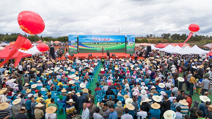 云南解化｜“快递幼哥”的三农情怀，温暖民气促发展